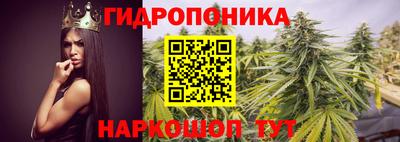 мдпв Белореченск