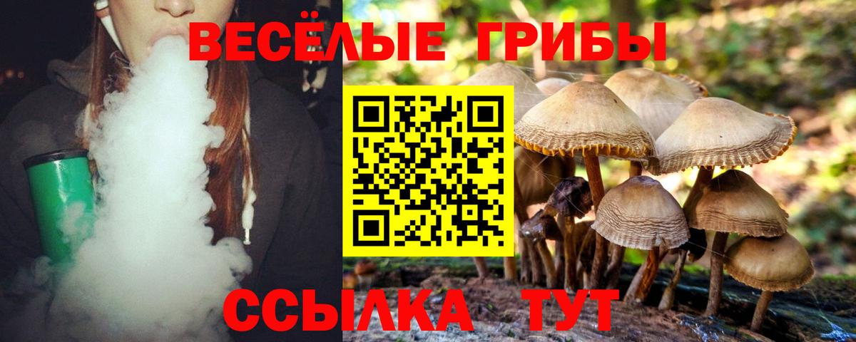 где купить наркоту  Псилоцибиновые грибы GOLDEN TEACHER  Вход с VPN  Брянск  Галлюциногенные грибы Magic Shrooms 